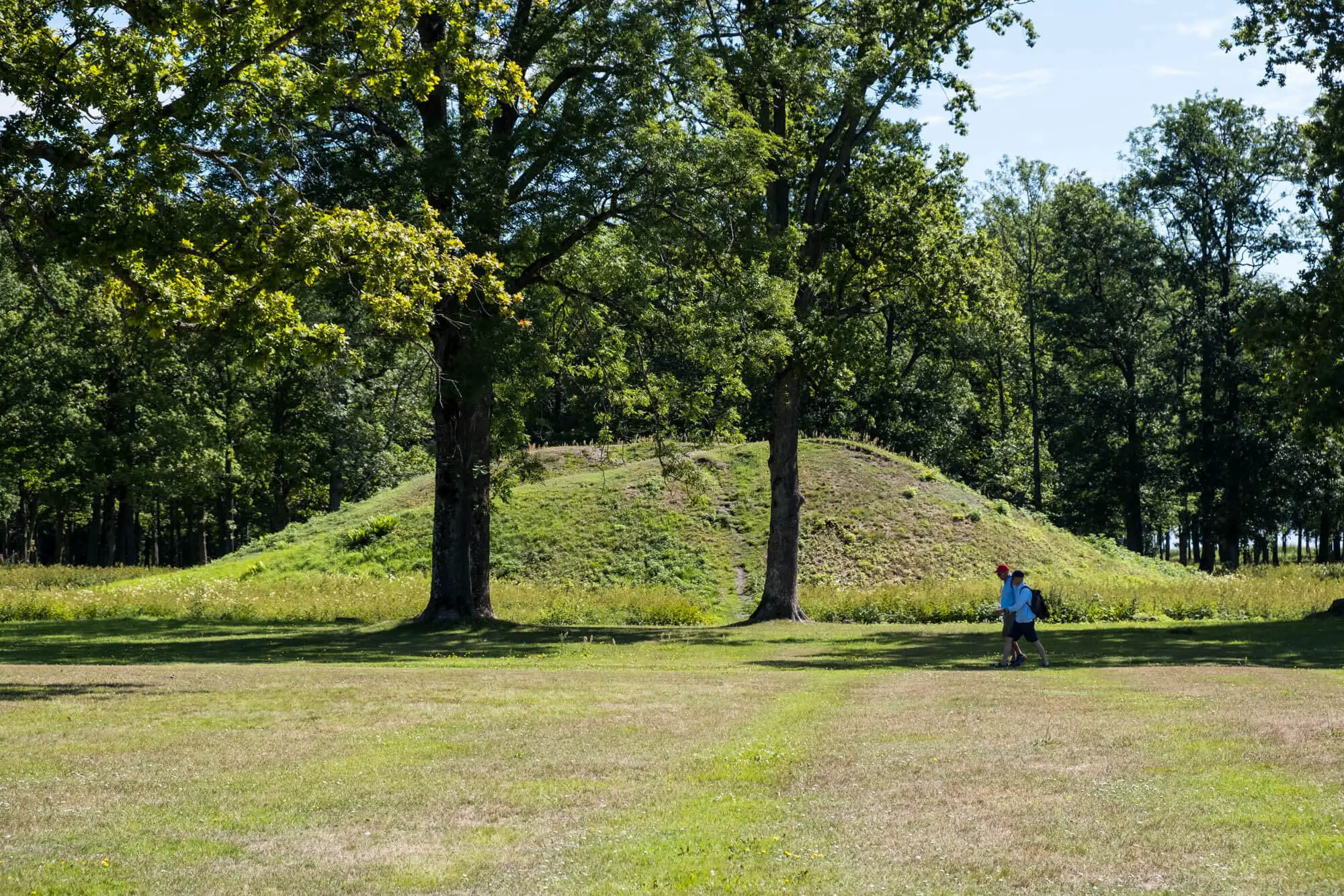 Midgard维京中心的埋葬山