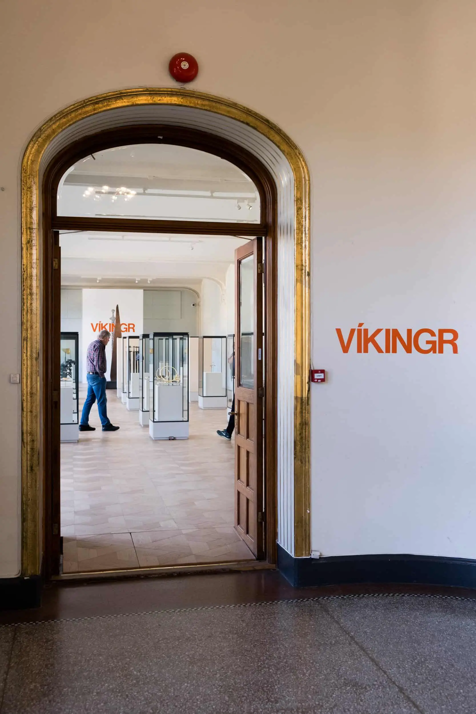 Enter into the Viking age