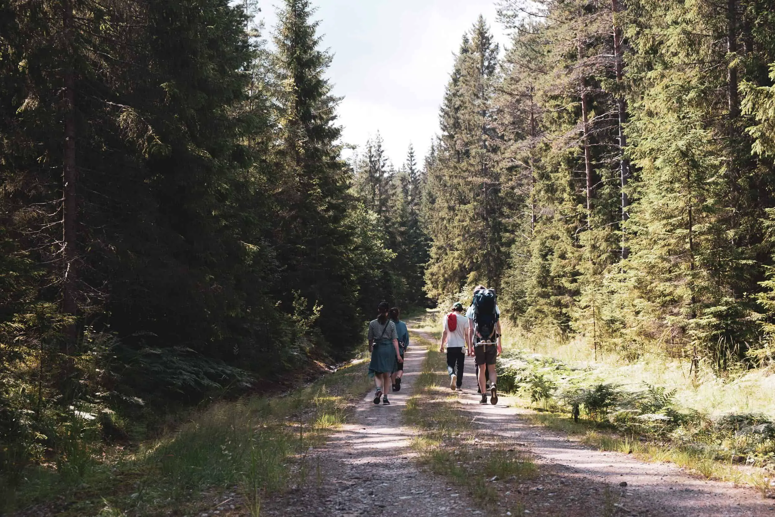 Hiking in Oslo